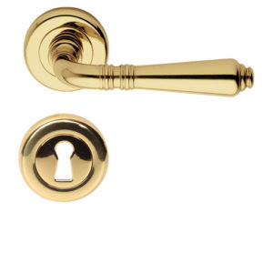 handles doors ginevra brass polished